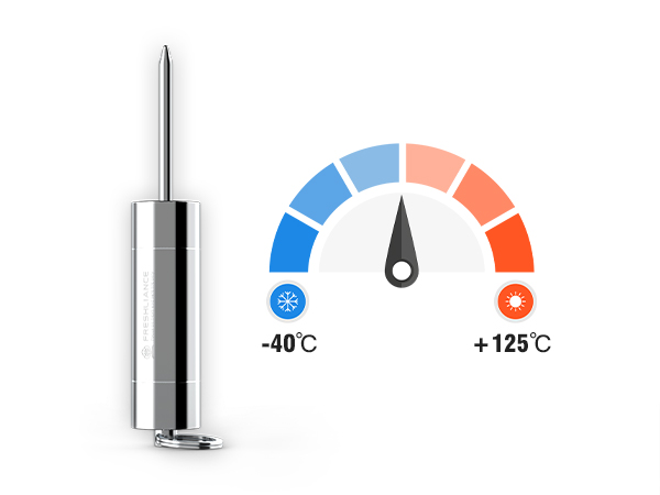 Registrador de datos de temperatura resistente con sonda externa rígida IRON 200