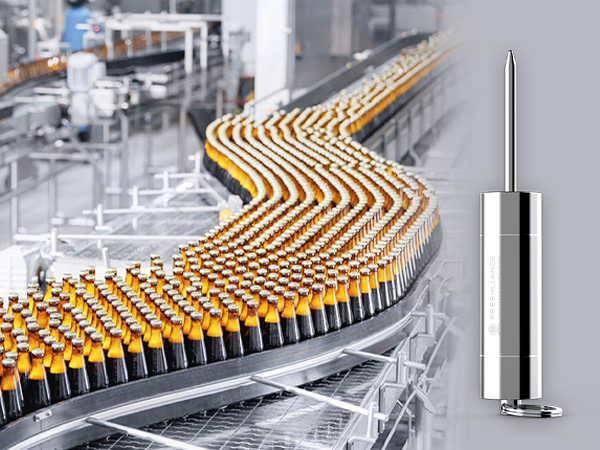 Registrador de datos de temperatura resistente con sonda externa rígida IRON 200