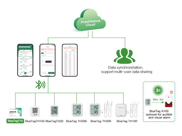 Registrador de datos de temperatura Bluetooth BlueTag T10