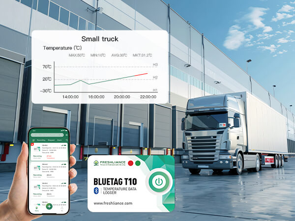 Registrador de datos de temperatura Bluetooth BlueTag T10