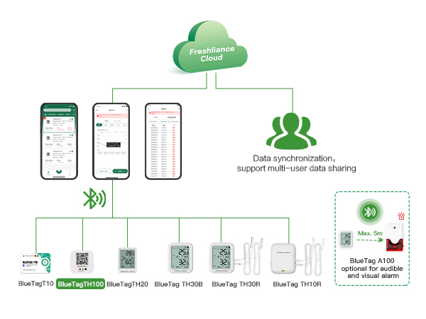 Registrador de datos de temperatura y humedad BlueTag T100/TH100 Bluetooth